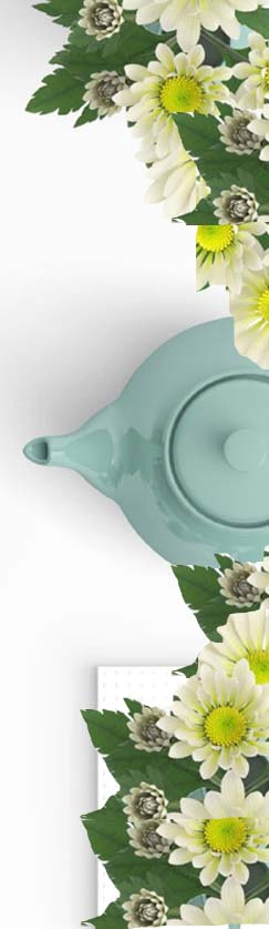 Picnic flowers image